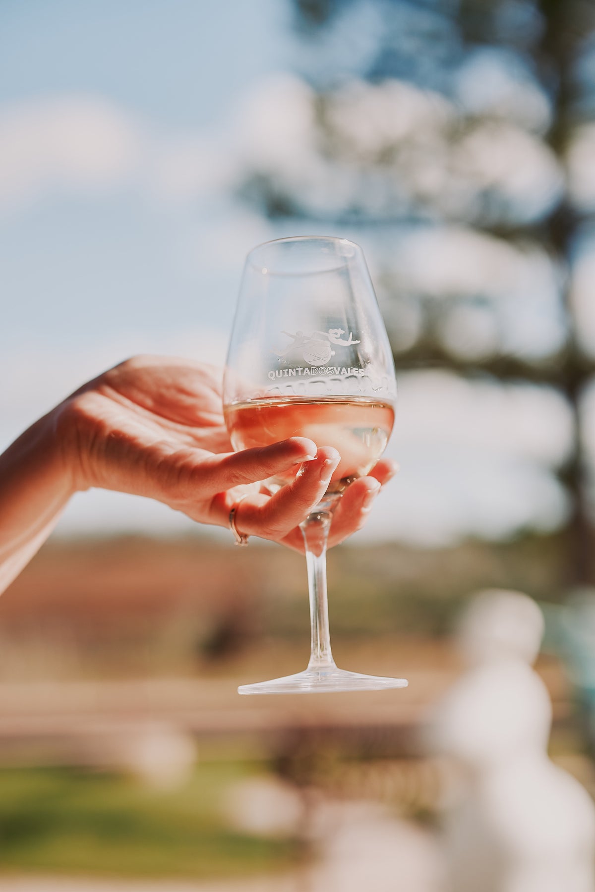Solo Wine Tasting