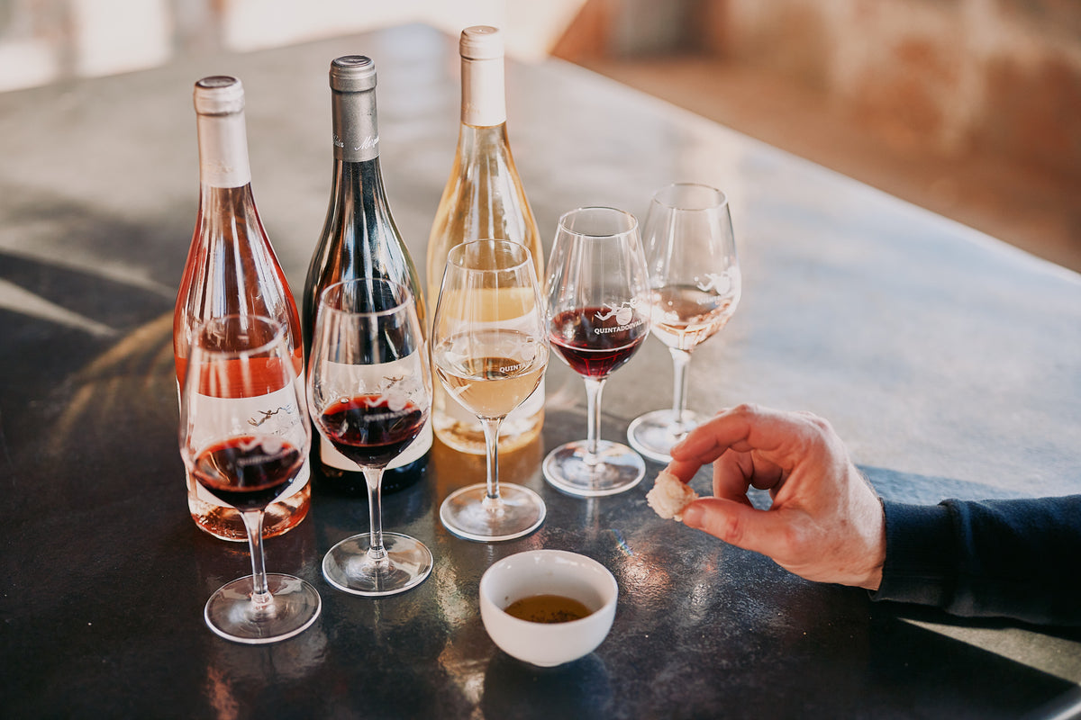 Prova de Vinhos com Visita